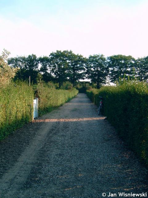 * Image 36