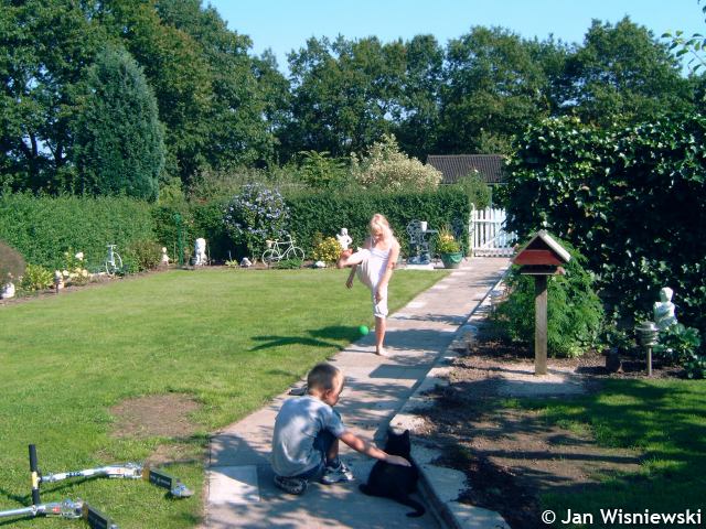* Image 1