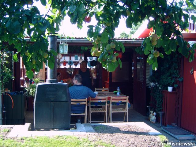 * Image 2