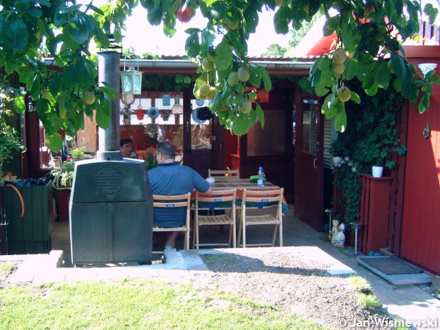 * Image 3
