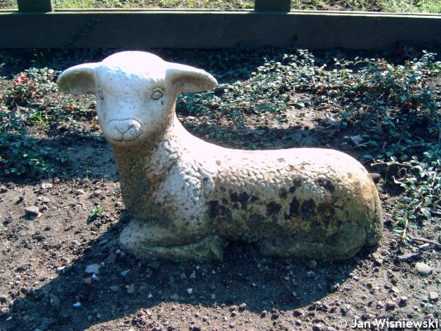 * Image 11