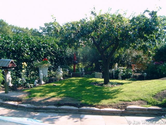 * Image 12