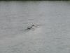 IMG_7005.JPG - 2005:09:03 11:05:35