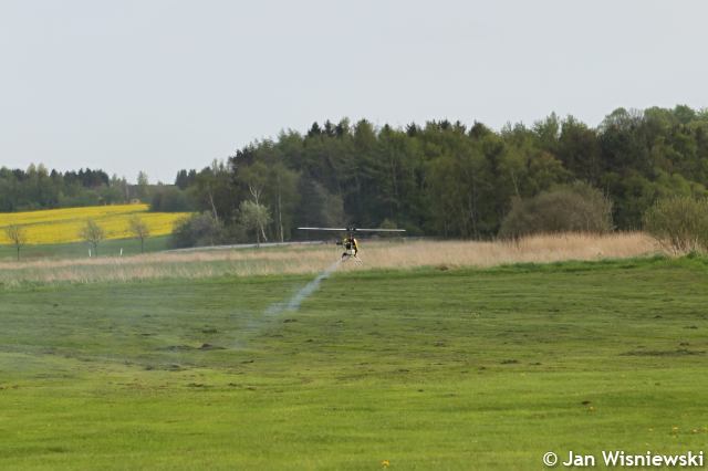 * Image 5