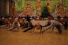 20101128-145431.JPG - 2010:11:28 15:54:31