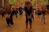 20101128-150646.JPG - 2010:11:28 16:06:46