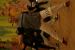 20101128-160209.JPG - 2010:11:28 17:02:09