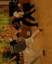 20101128-160222.JPG - 2010:11:28 17:02:22