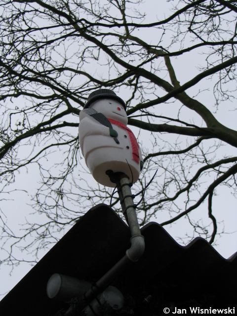 * Image 60