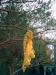 M4116847.JPG - 2004:10:01 17:11:06