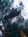 M4116863.JPG - 2004:10:01 17:50:47